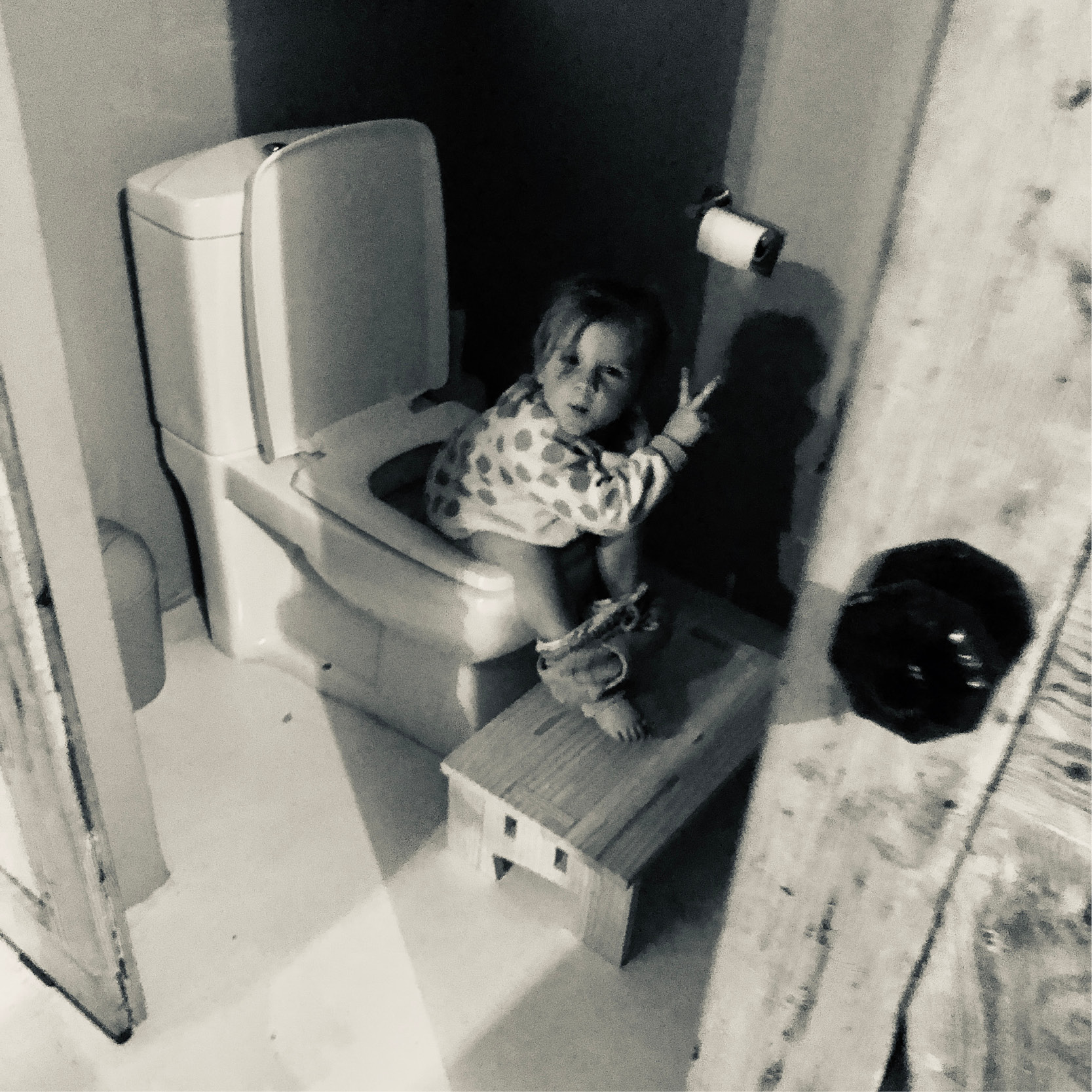Black and white photo of a child using a mydinky step to reach the toilet